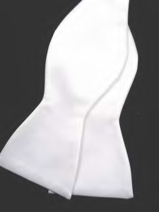 Matching Wedding Ties and Hankie